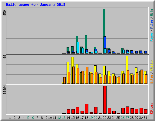 Daily usage for January 2013
