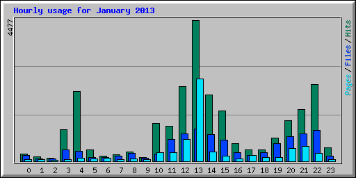 Hourly usage for January 2013